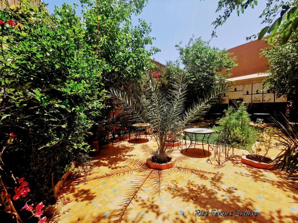 Riad Fennec Sahara Zagora Exterior photo